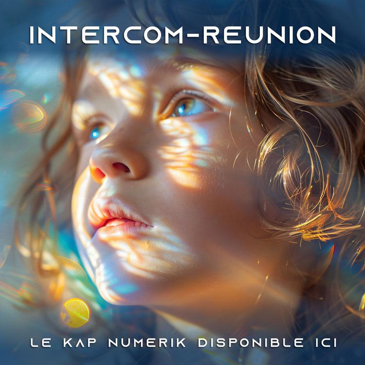 Le Numérique à La Réunion